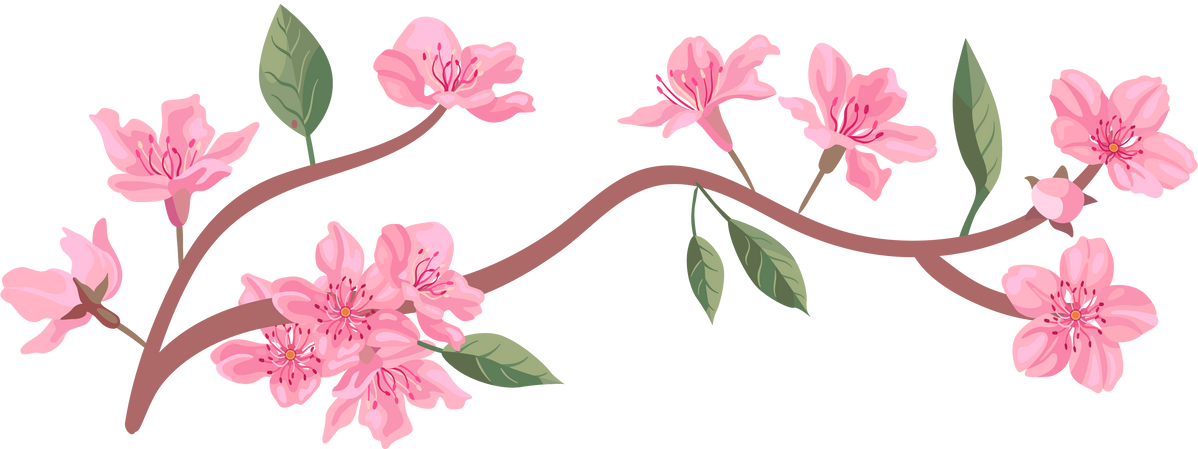 Peach tree branches with leaves. Flat vector illustrations for spring in Asia, nature, blooming. Sakura blossom